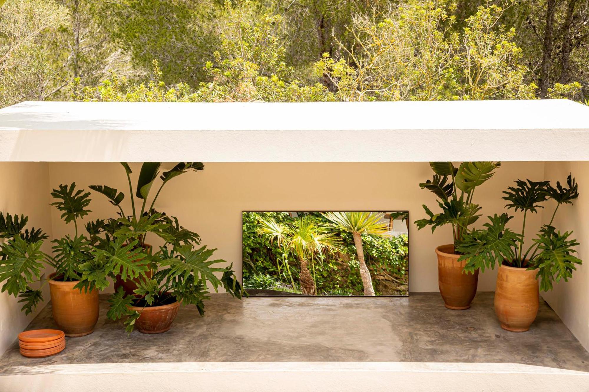Boutique Hotel Jardines De Palerm San José Eksteriør bilde
