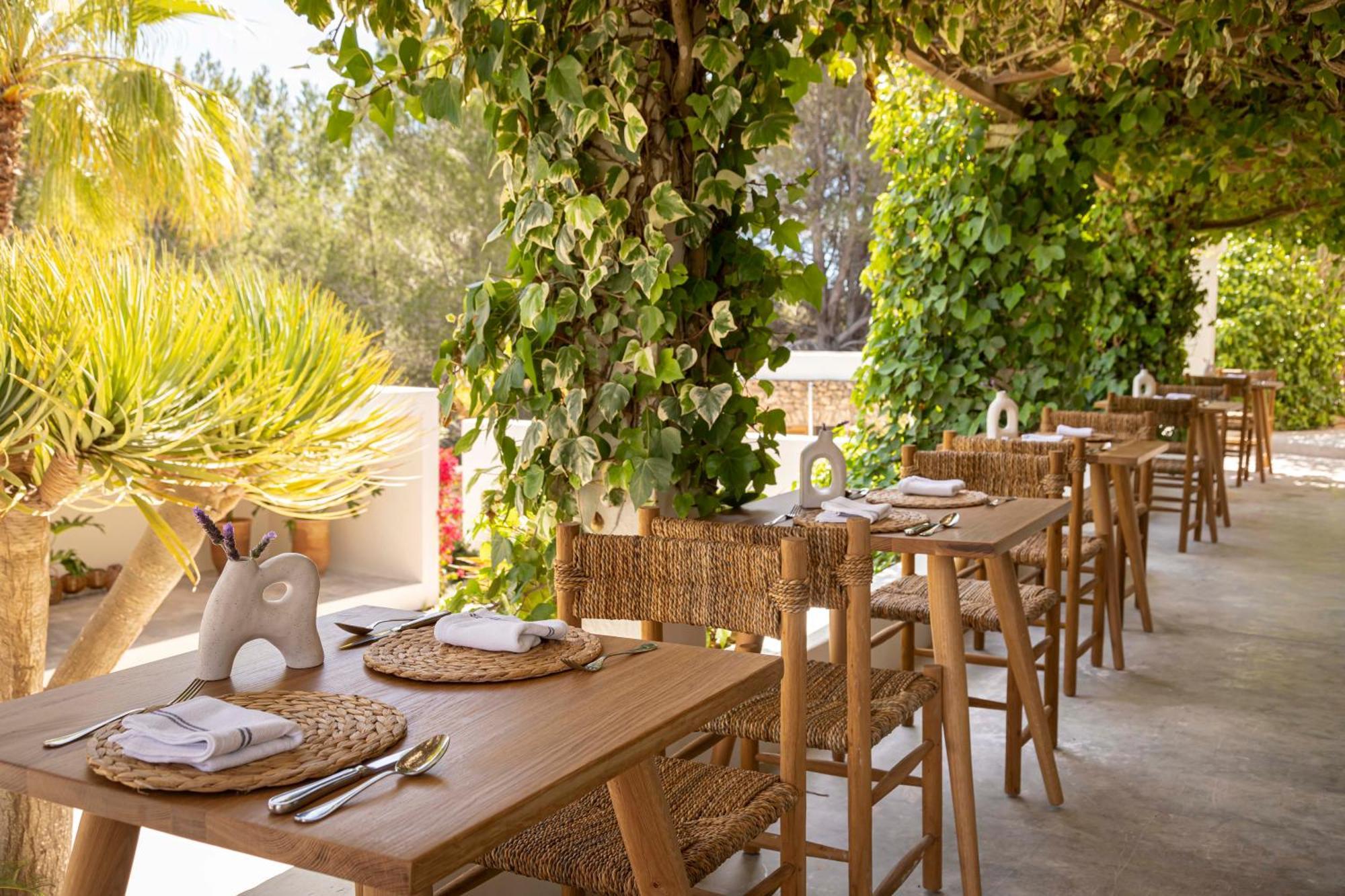 Boutique Hotel Jardines De Palerm San José Eksteriør bilde