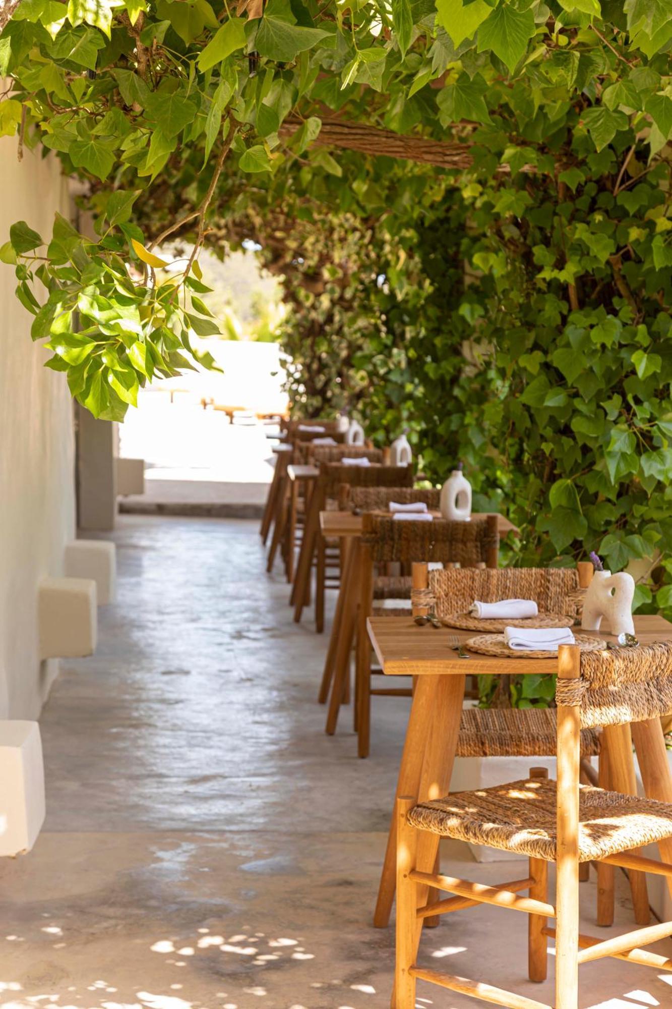 Boutique Hotel Jardines De Palerm San José Eksteriør bilde